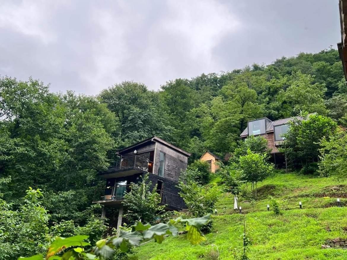 Hotel Woodpecker Georgia Batumi Zewnętrze zdjęcie